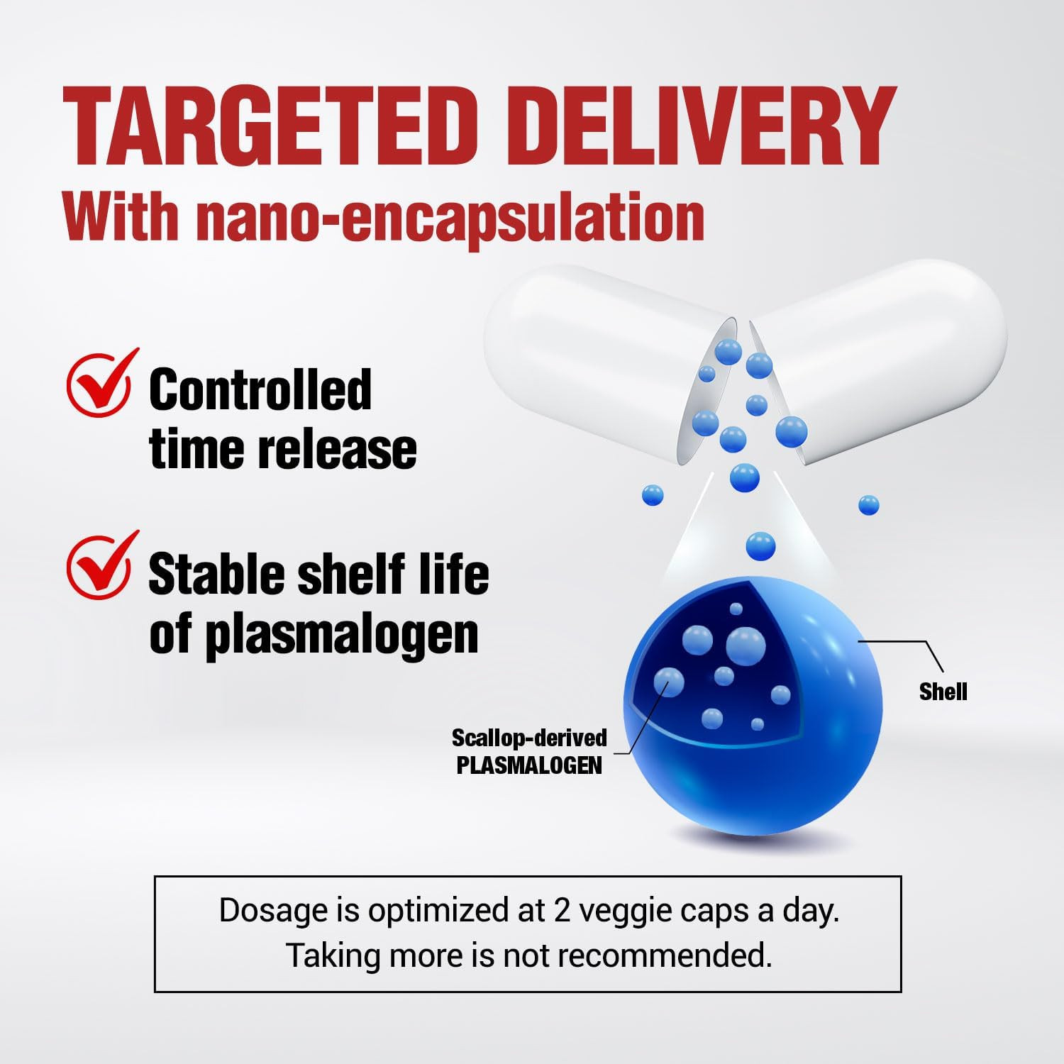 Neuroregain – Scallop-Derived PLASMALOGEN for Brain suitable for Men and Women