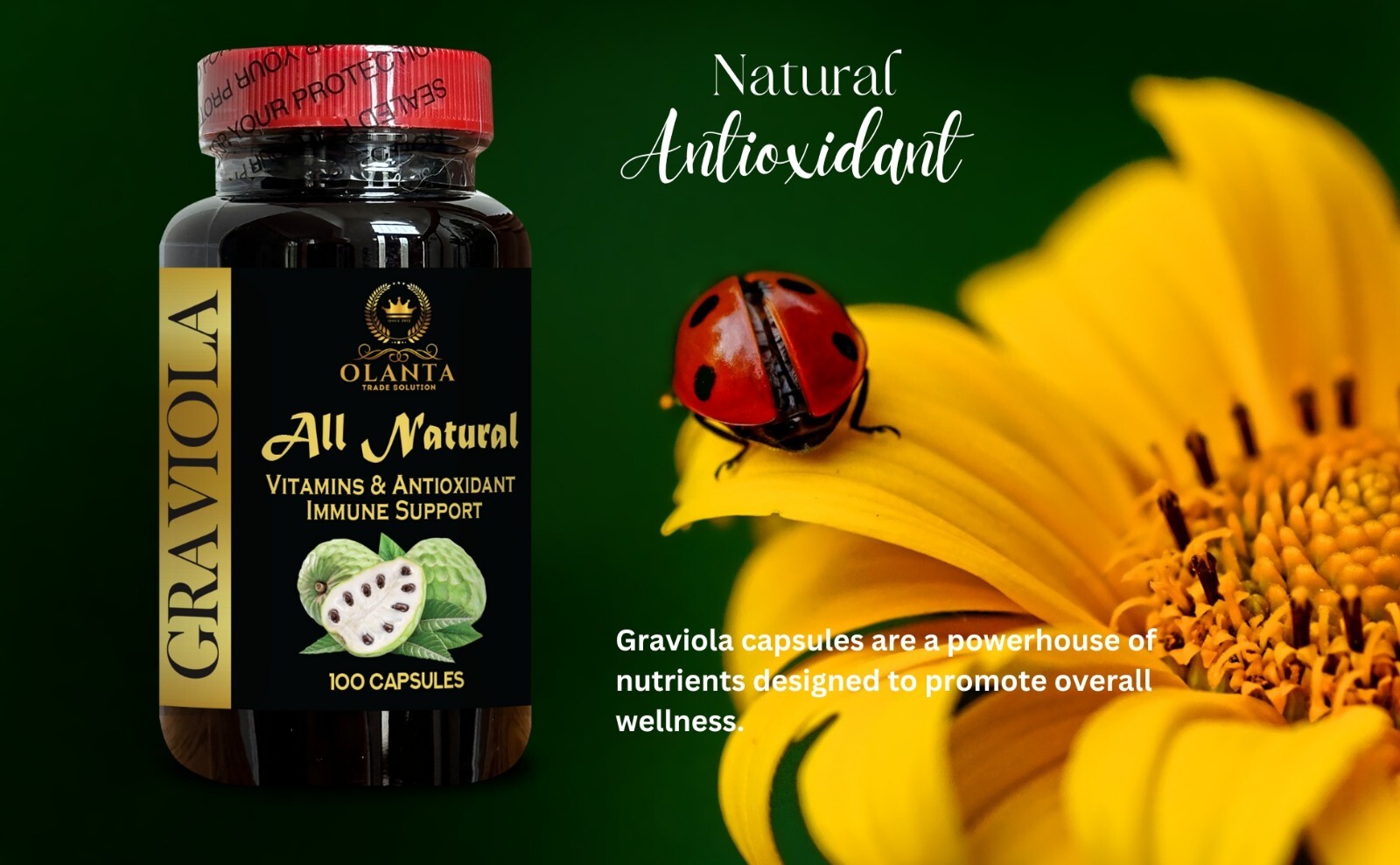 Graviola Leaf Herbal Blend for support Daily Balance, Lifestyle Support & Gentle