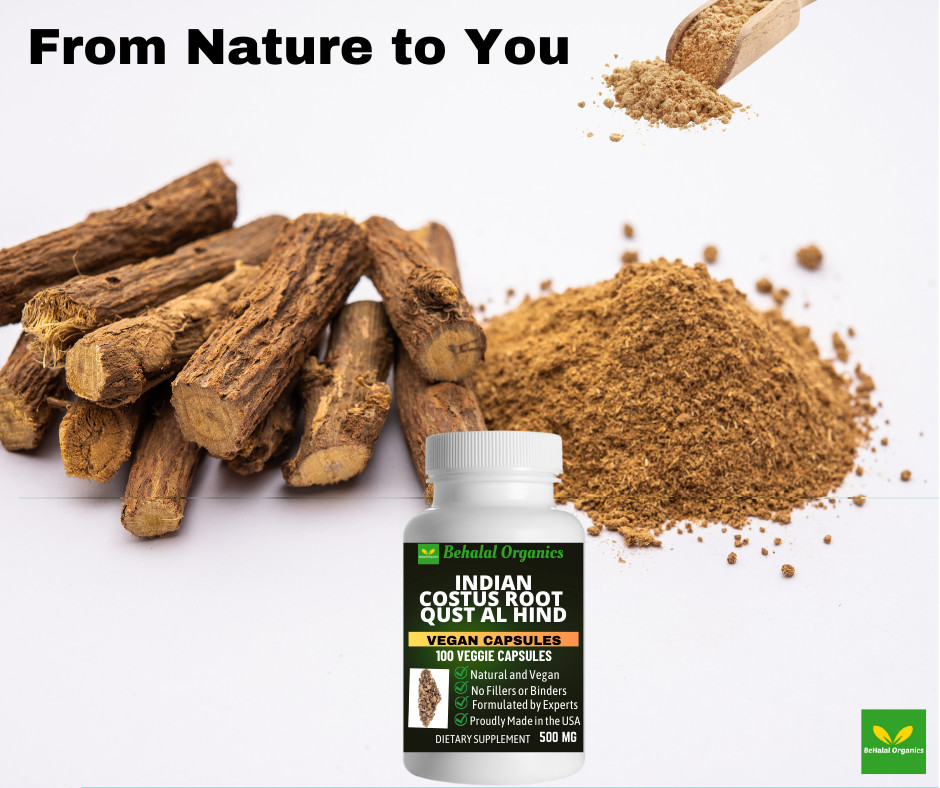 Indian costus 500mg Qust al Hind 100 veg capsules
