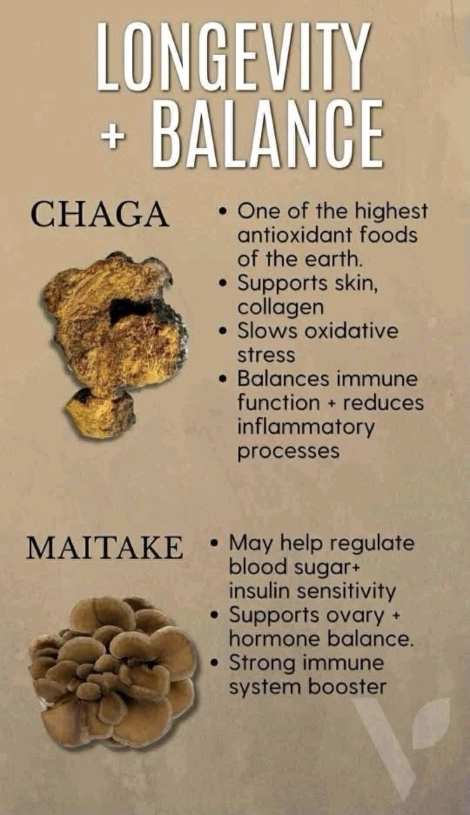 Vital health LATTEKAFFE Premium Arabica Coffee Combines Functional Mushrooms
