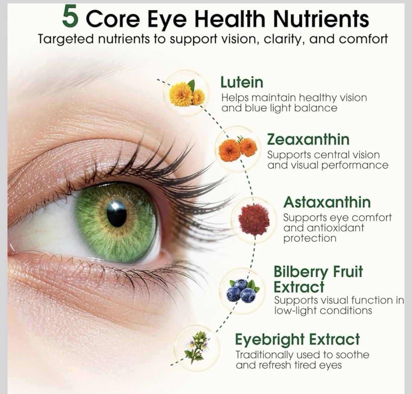 Health Sender 37-in-1 Eye & Vision Health + Antioxidant Support Softgels 120 Ct