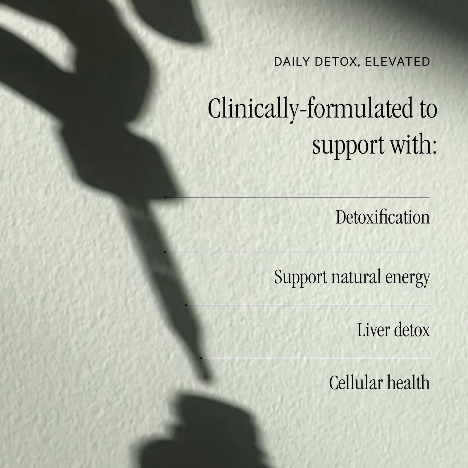 Juna Liquid Chlorophyll Drops – Daily Detox, Cellular 1.7 Fl Oz (Pack of 1)