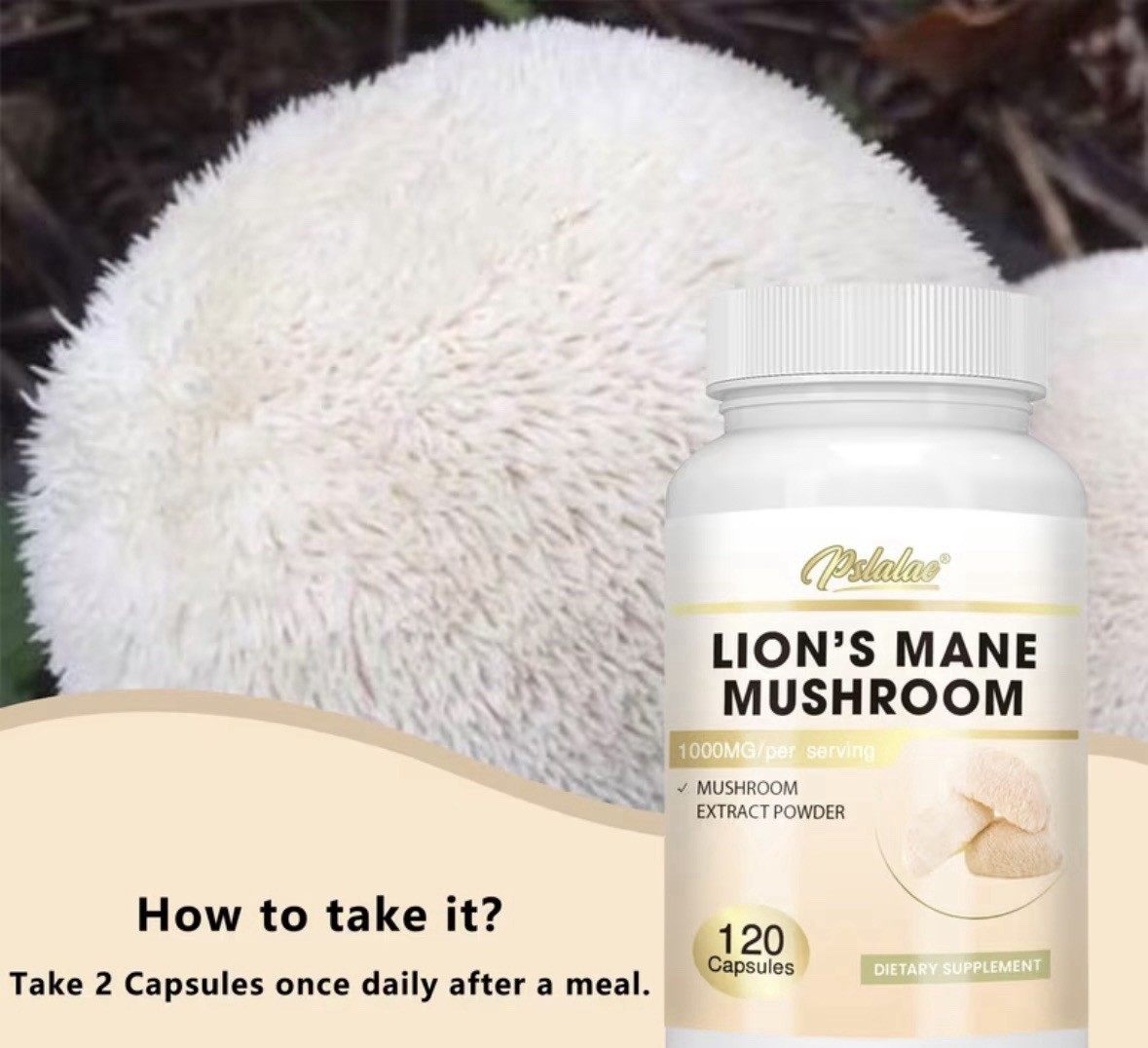 Pslalae Lion’s Mane Mushroom Extract 1000mg 120 Capsules Mood Digestion Support