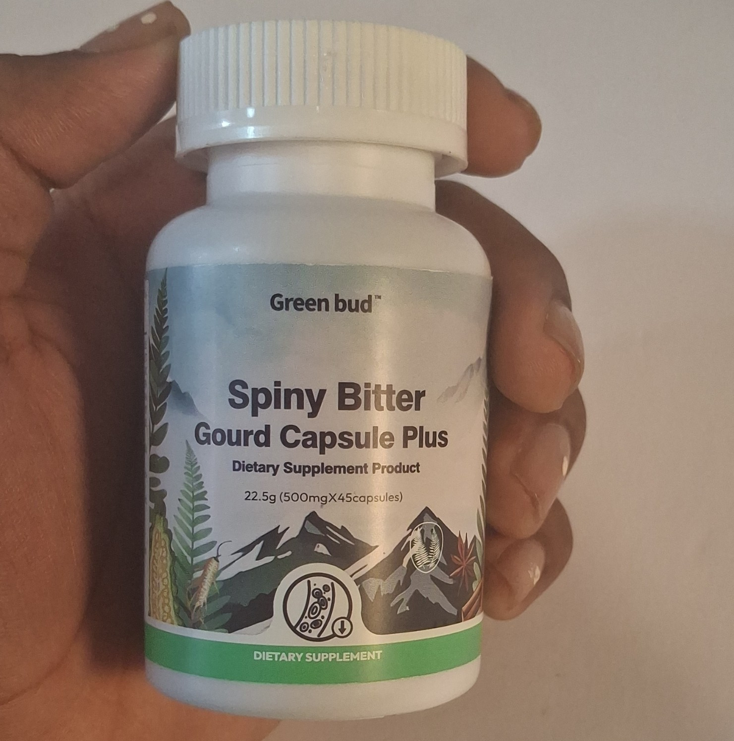 Green bud Spiny Bitter Gourd Dietary Supplement Capsules 500 mg 45 Ct 22.5g