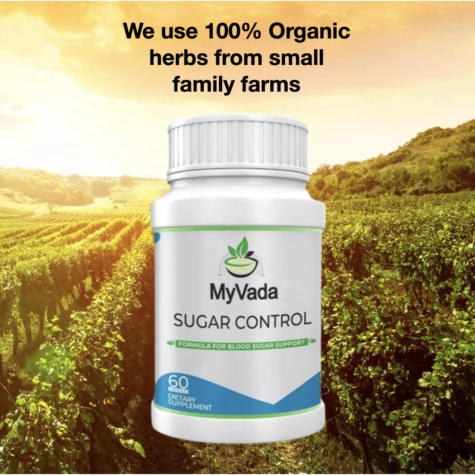 MyVada Sugar Control – Ayurvedic Herbal Organic Blood Sugar Support Supplement
