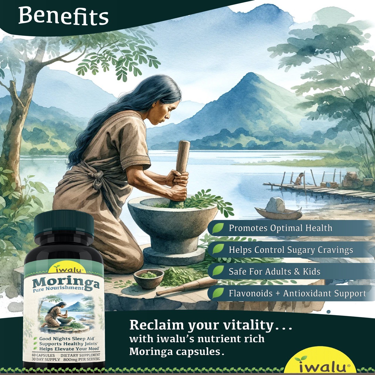 Edta Chelation Supplements | Promote Vascular Health | Natural Moringa Capsules