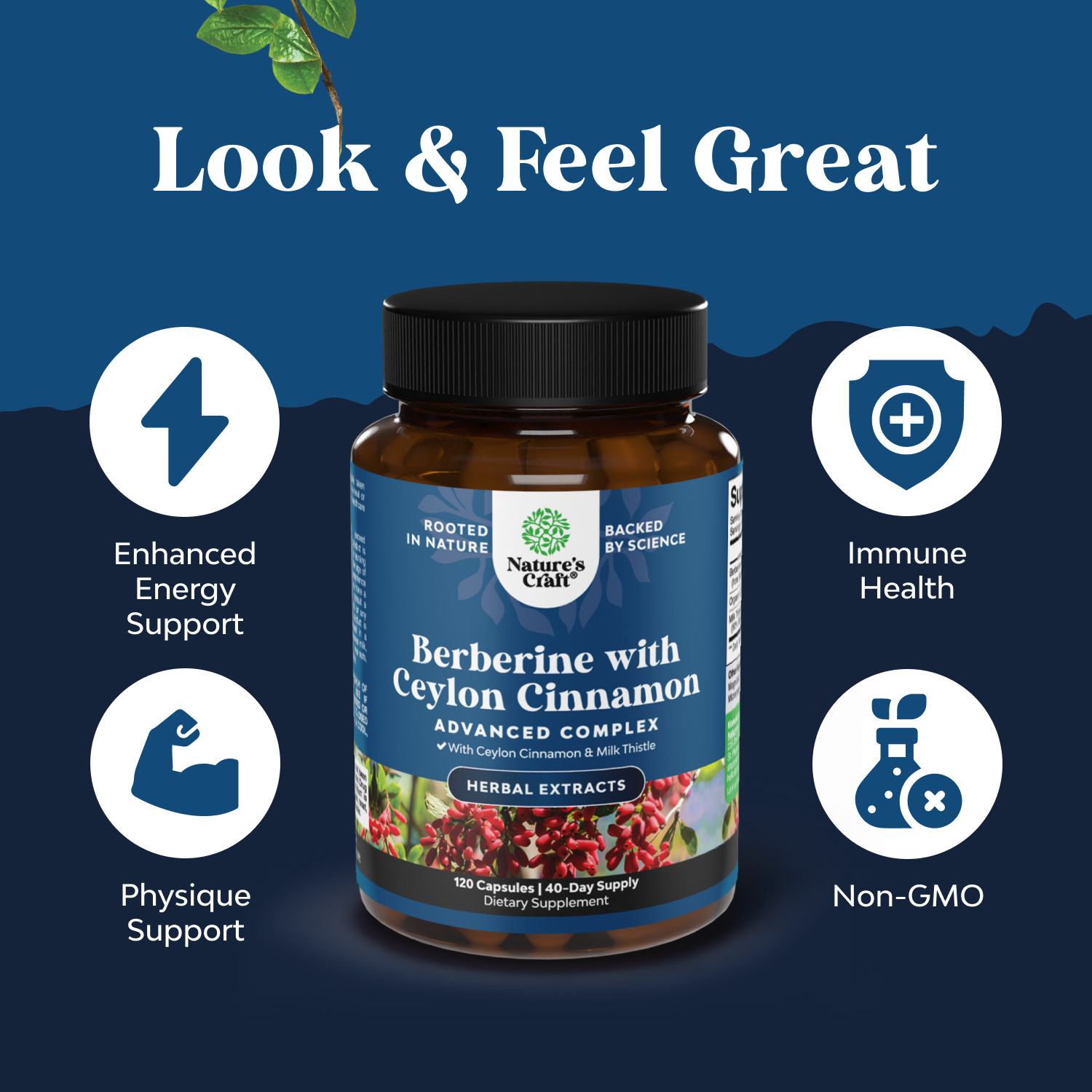 Balancing Berberine Plus 1200mg Per Serving Complex Antioxidant w/ Ceylon 120ct