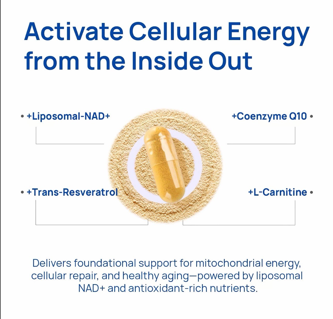 Selerb NAD+ Men’s Complex 60 Capsules Cellular Energy Prostate Health