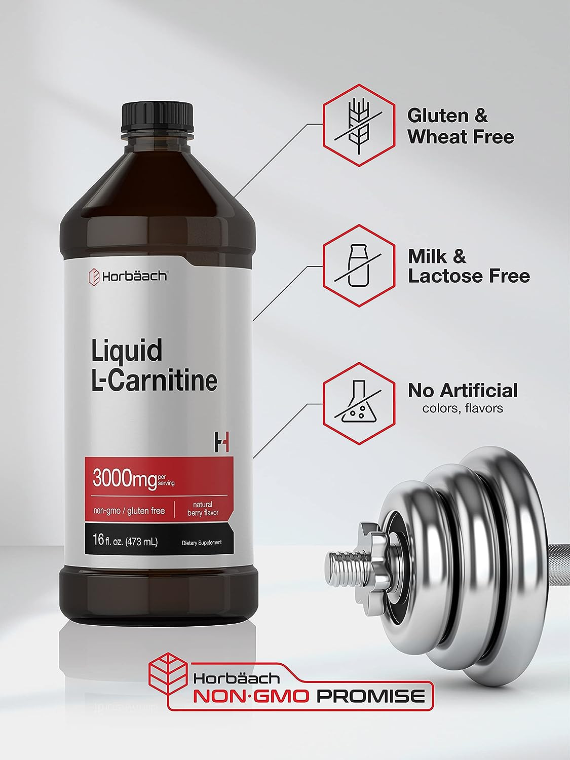 L-Carnitine Liquid 16 oz, 3000mg, Non-GMO Gluten Free Supplement, by Horbaach