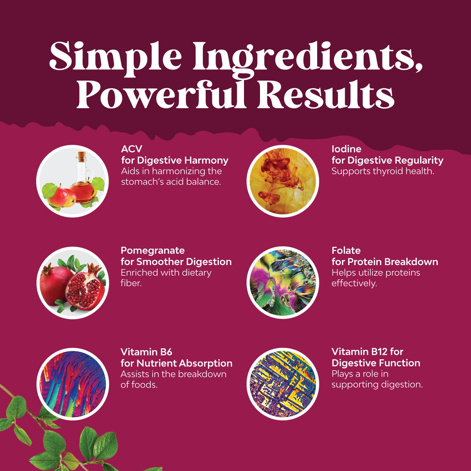 Apple Cider Vinegar ACV Gummies with the Mother Gut Health & Natural Energy