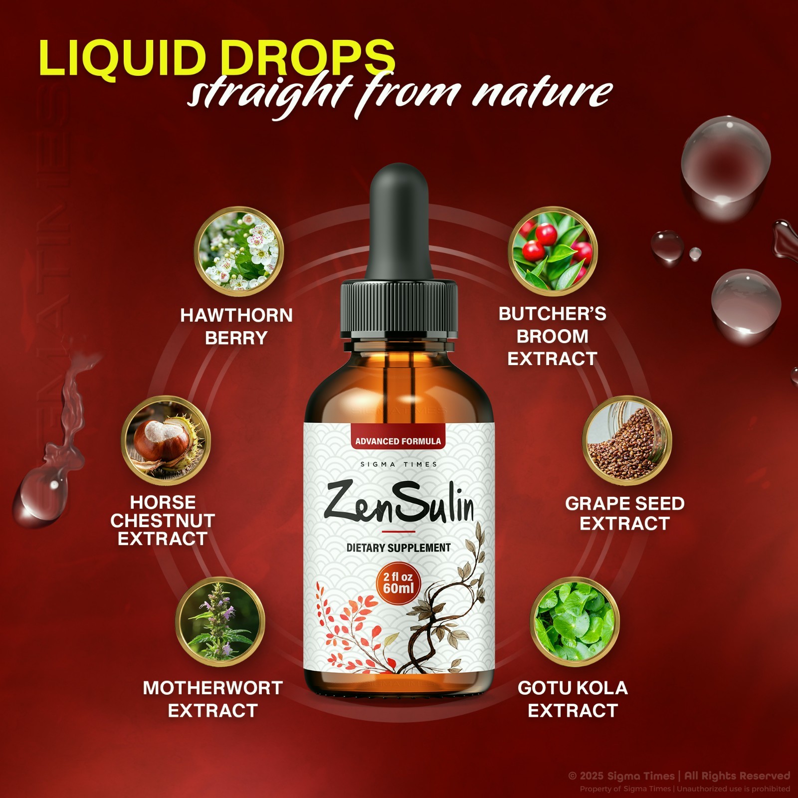 ZenSulin Drops – Zen Sulin Premium Blood Health Support Formula (30 servs.)