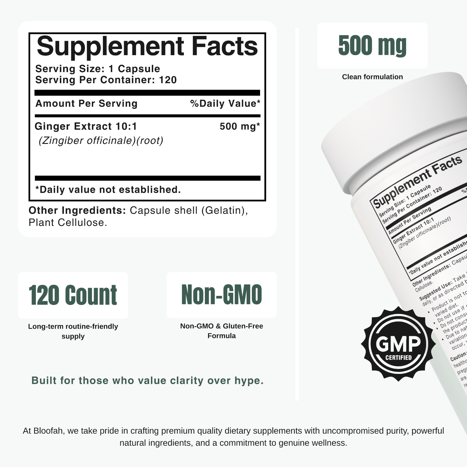 Bloofah GR Ginger Root Extract 10:1 500mg | 120 Capsules | Gingerols | Wellness