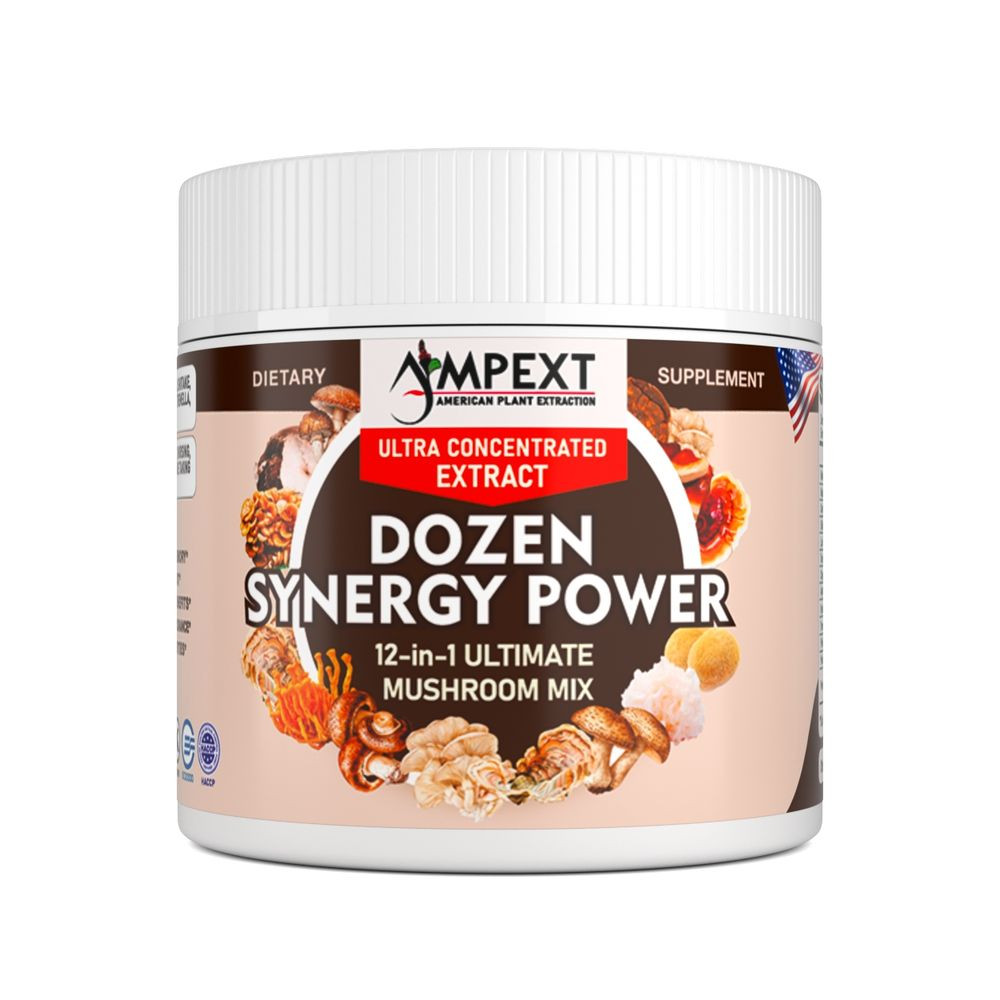 12-IN-1 Dozen Synergy Power Mushroom Extract – Only Fruiting Bodies, 100g