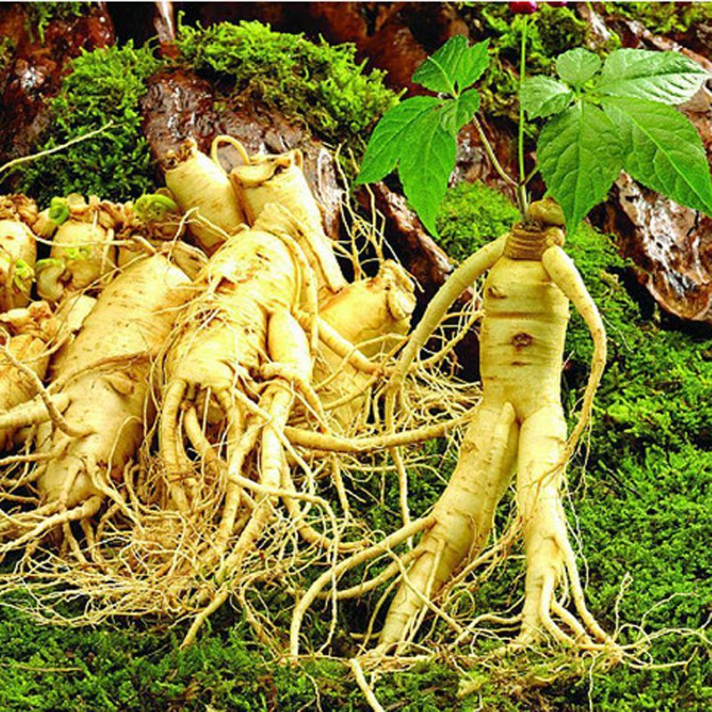 natural skin care – ANTI WRINKLE – KOREAN GINSENG – energy booster – 2 Bot COMBO
