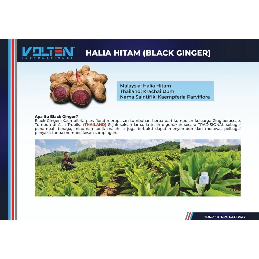 2x Volten VR4 Capsule Black Ginger Extract Plant Based General Health