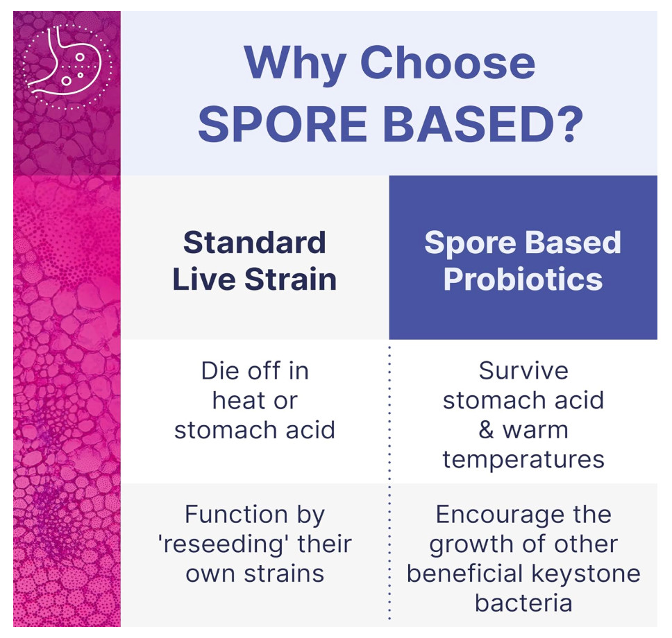 MegaSporeBiotic Spore Probiotic 60 Caps Microbiome Labs EXP 07/27 AUTHENTIC