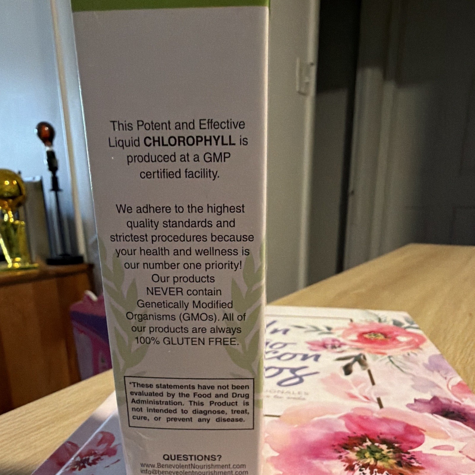 Benevolent Nourishment Liquid Chlorophyll Mint Alcohol Free 2 fl oz Exp 09/2027