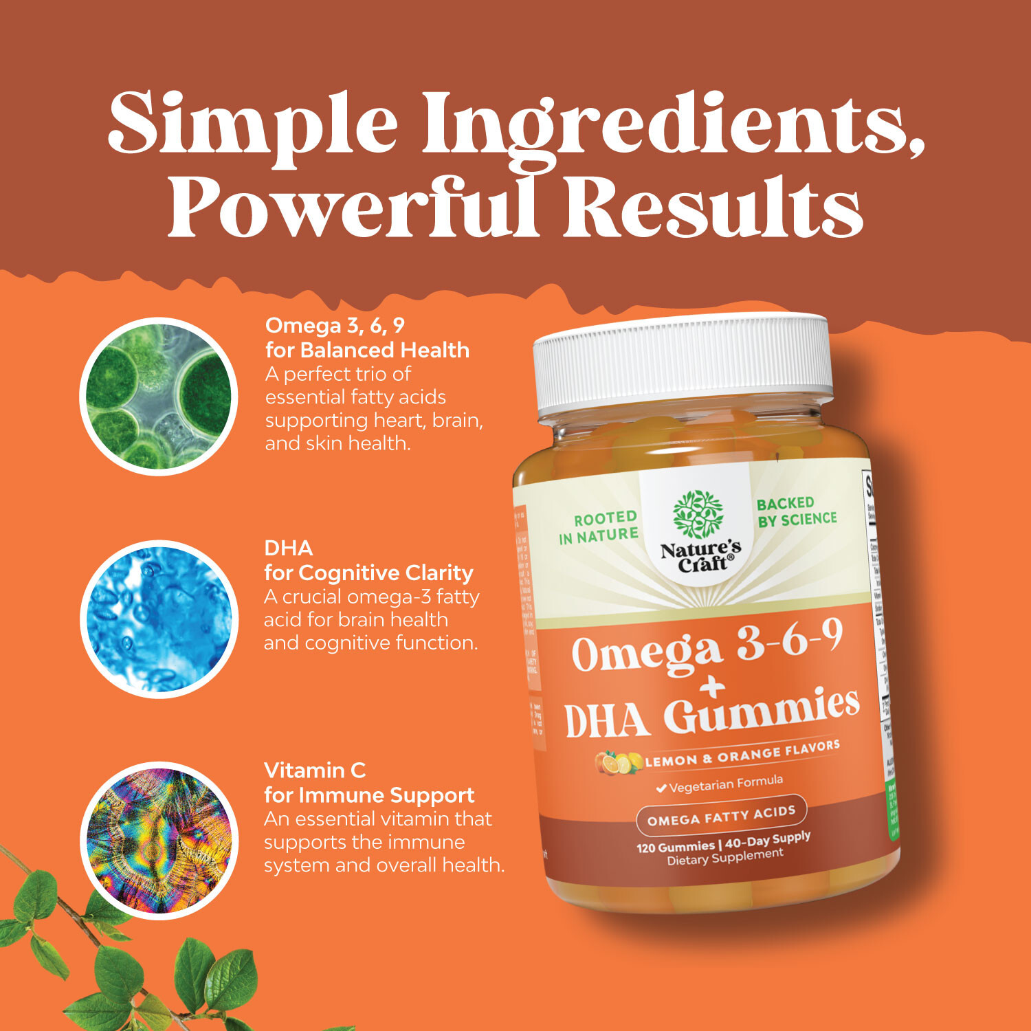 Vegetarian Omega 3 DHA Gummies for Adults – Brain Bone and Heart Joint Health