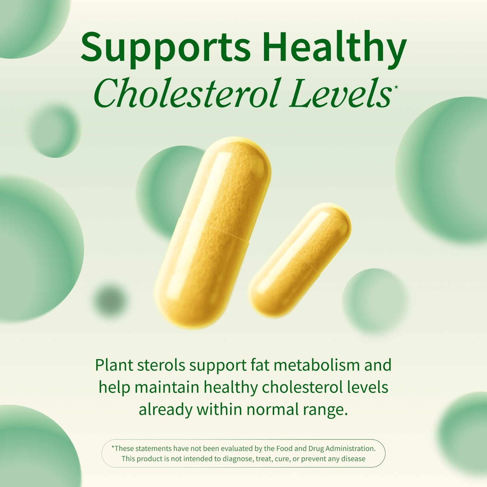 Cholesterol Health Snap Supplements Lipid Metabolism, Digestive Function, 60 Cap