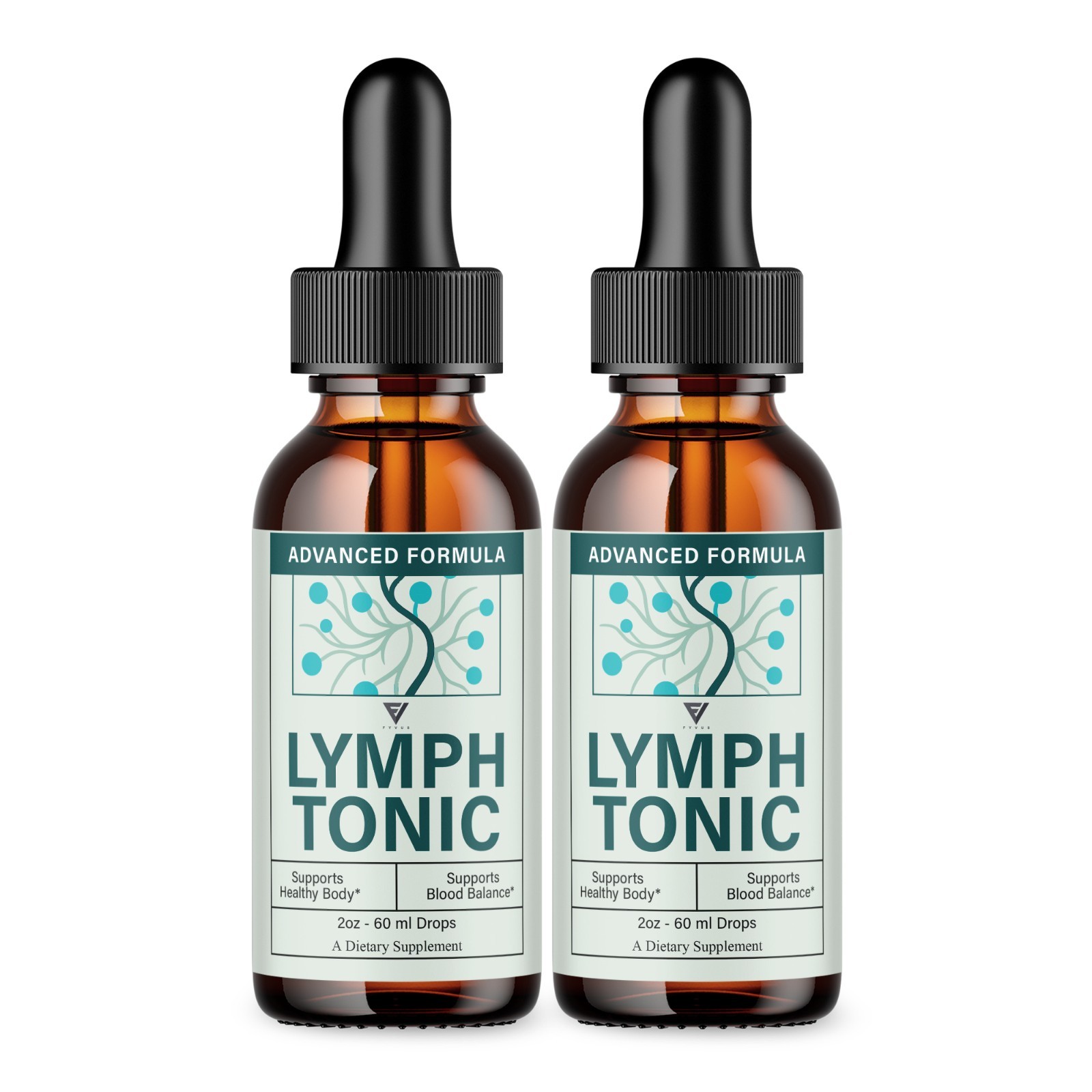 (2 Pack) Lymph Tonic Blood Support Drops, Lymphtonic Supplement (4 oz)