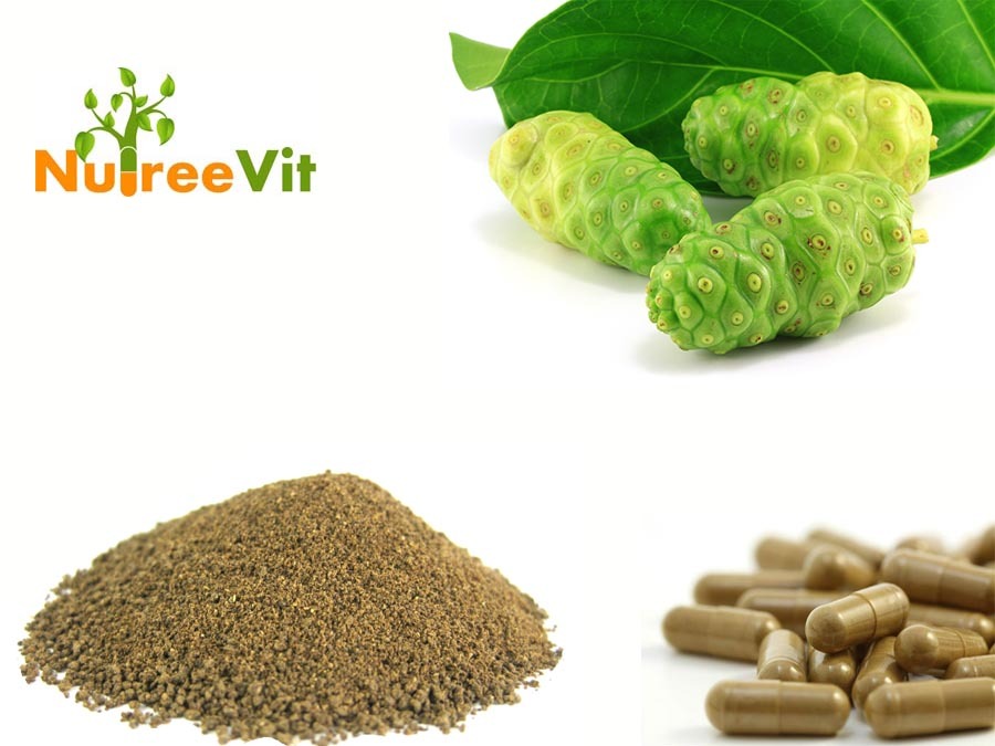 Noni Fruit Powder Capsules (Morinda Citrifolia) 500mg