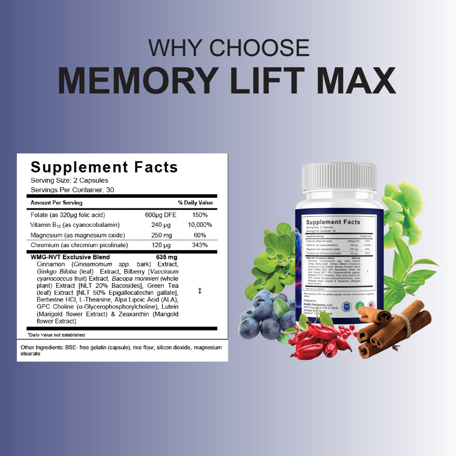 (2 Pack) Memory Lift Max Supplement, MemoryLift Nootropic Pills (120 Capsules)