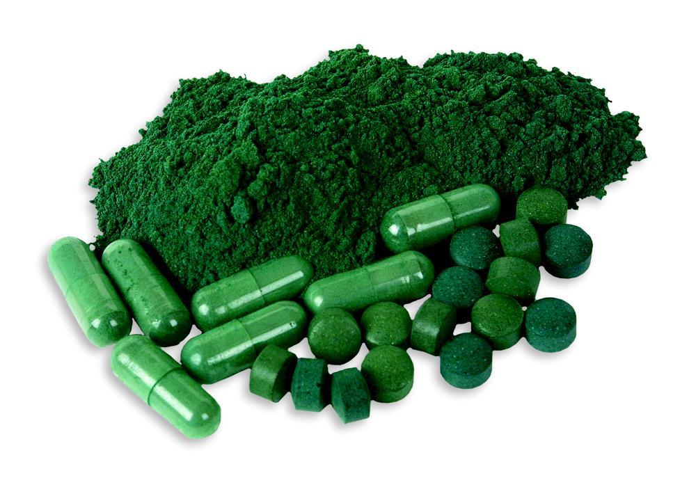 Fat burner for belly – STEM CELL ACTIVATOR 500MG – Klamath Blue Green 3 Bottles