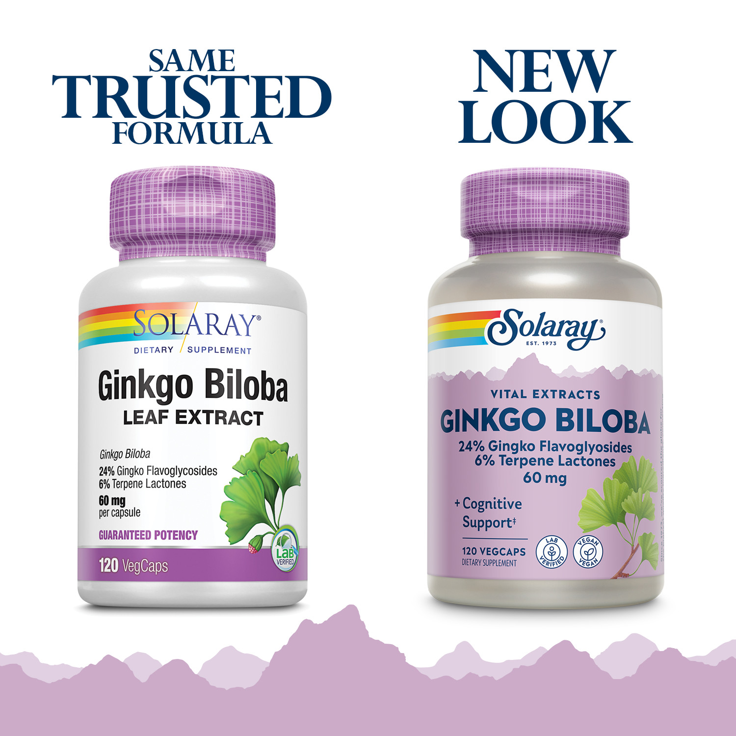 Solaray Guaranteed Potency Ginkgo Biloba Leaf Extract, Veg Cap (Btl-Plastic)
