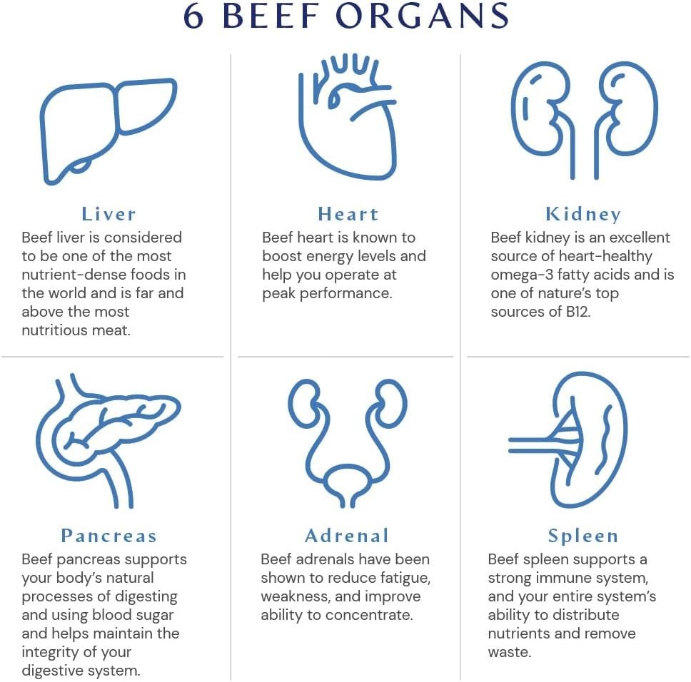 150 Caps x BodyHealth Organ+ Grass-Fed Beef Organ Supplement Liver Heart Kidney