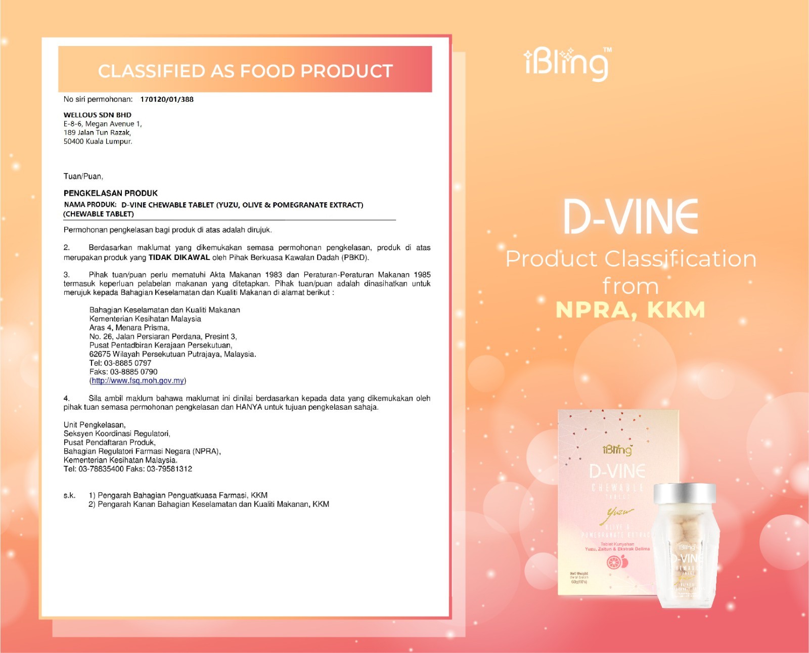 Wellous Ibling D-VINE Pomegranate Collagen Skin Whitening Stop Melanin Cells