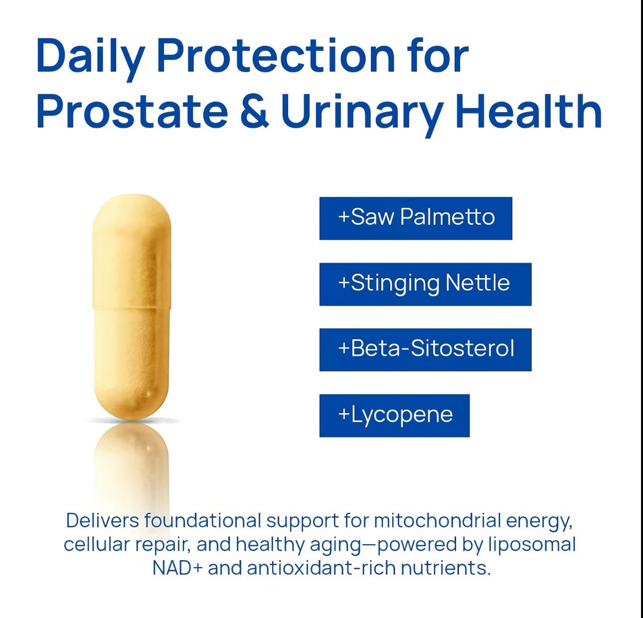 Selerb NAD+ Men’s Complex 60 Capsules Cellular Energy Prostate Health