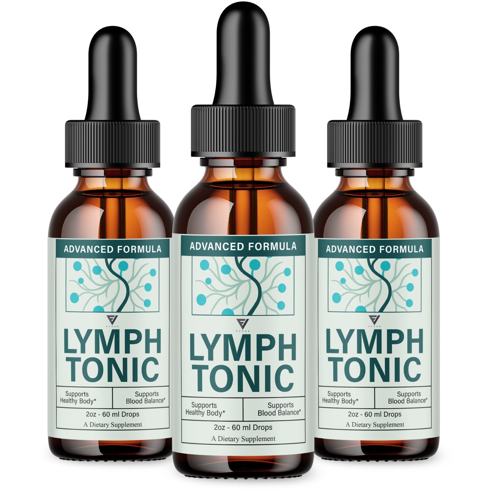 (3 Pack) Lymph Tonic Blood Support Drops, Lymphtonic Supplement (6 oz)