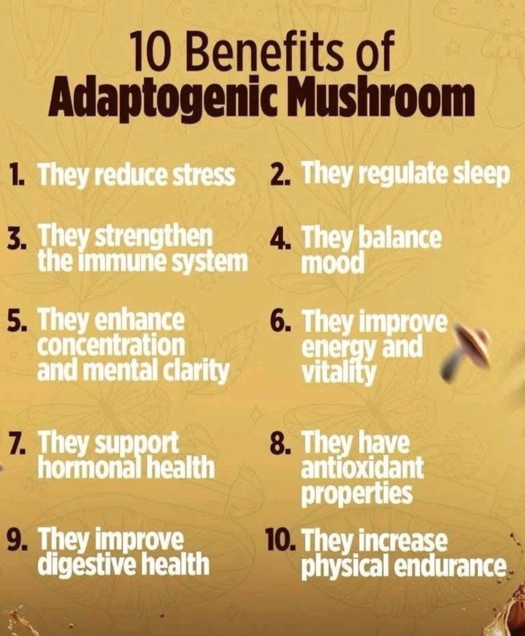 Vital health LATTEKAFFE Premium Arabica Coffee Combines Functional Mushrooms