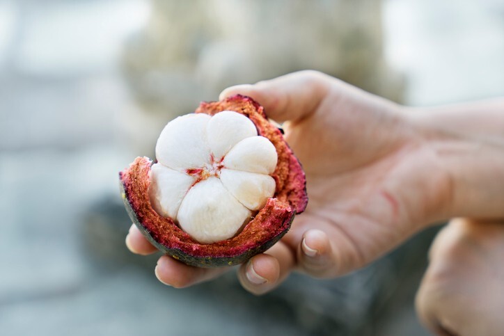 Immune Fortitude – MANGOSTEEN COMPLEX – Immunity Boost – 3B 180 Caps