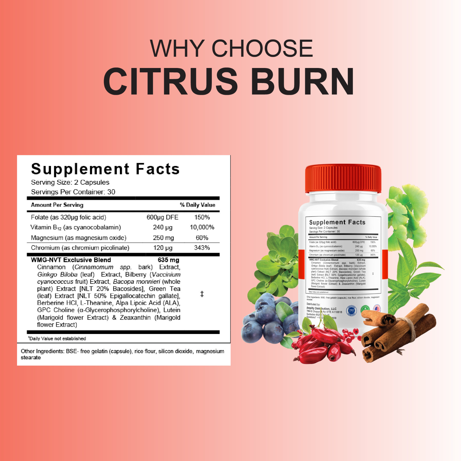 Citrus Burn Weight Management, CitrusBurn Advanced Pills (60 Capsules)