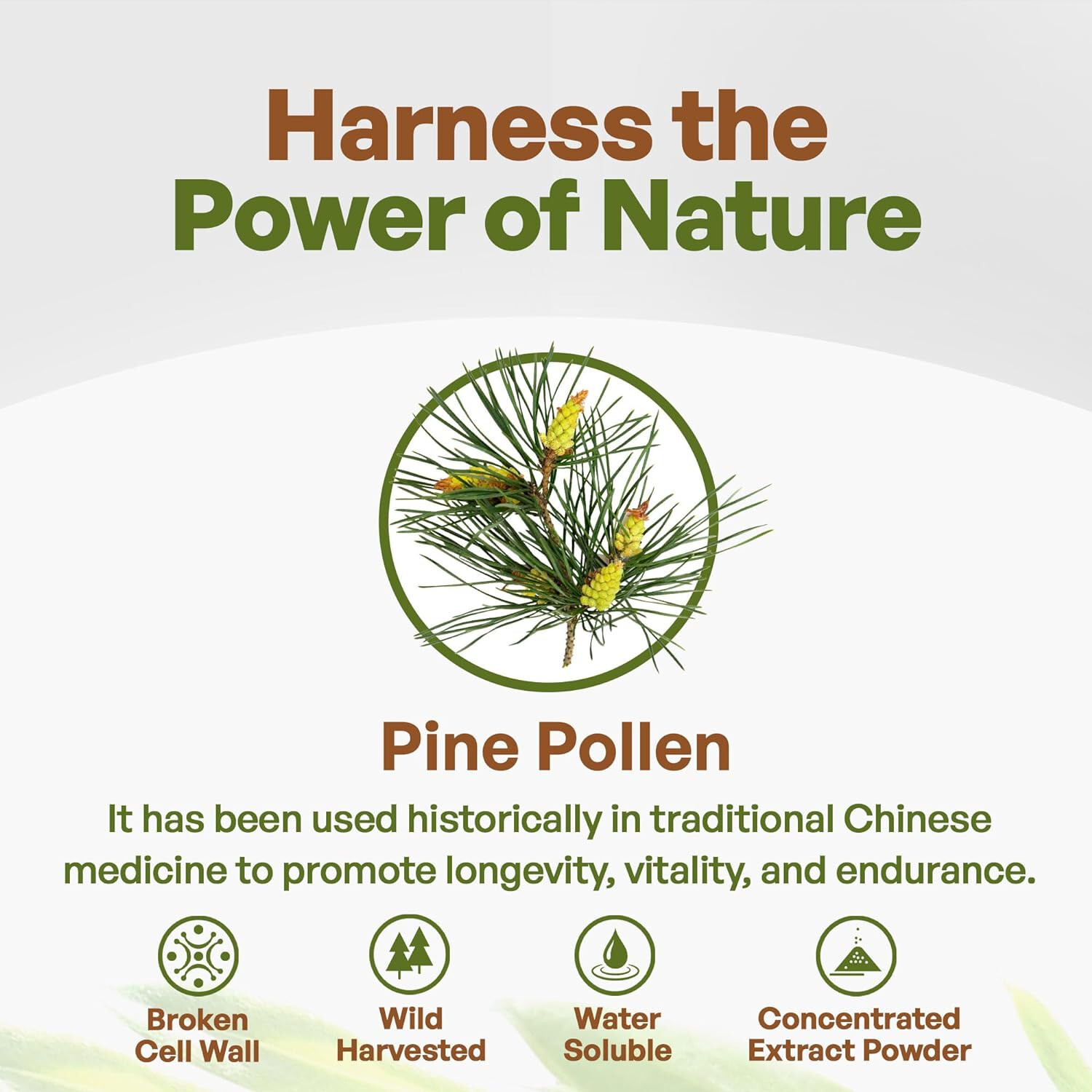 Pine Pollen Powder Non Gmo 1lb