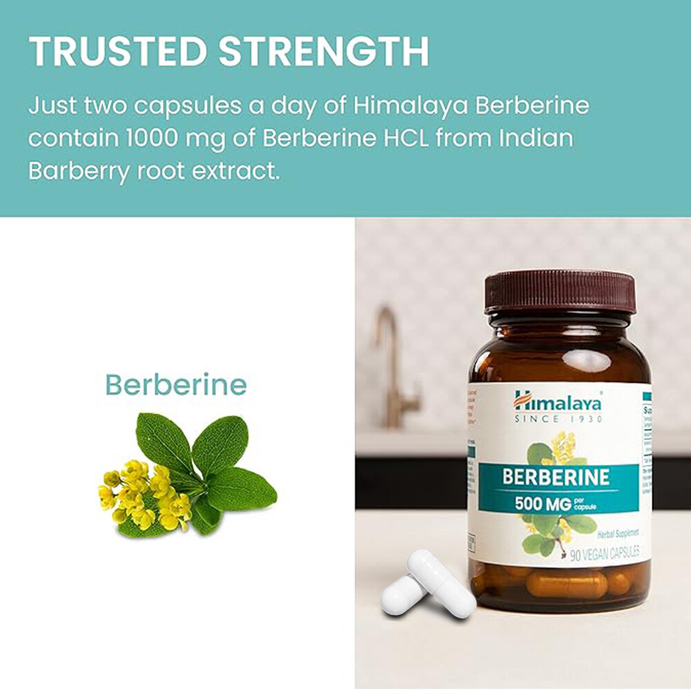 BERBERINE 500M Gcopsule Herbal Supplement 90 VEGETARIAN CAPSULES