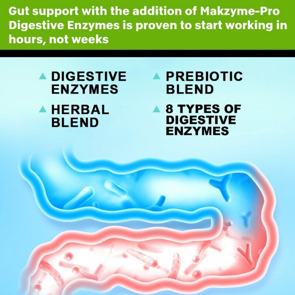 Enzymatic Digestion with Lactobacillus Digestive Support Supplement -30TO120Caps