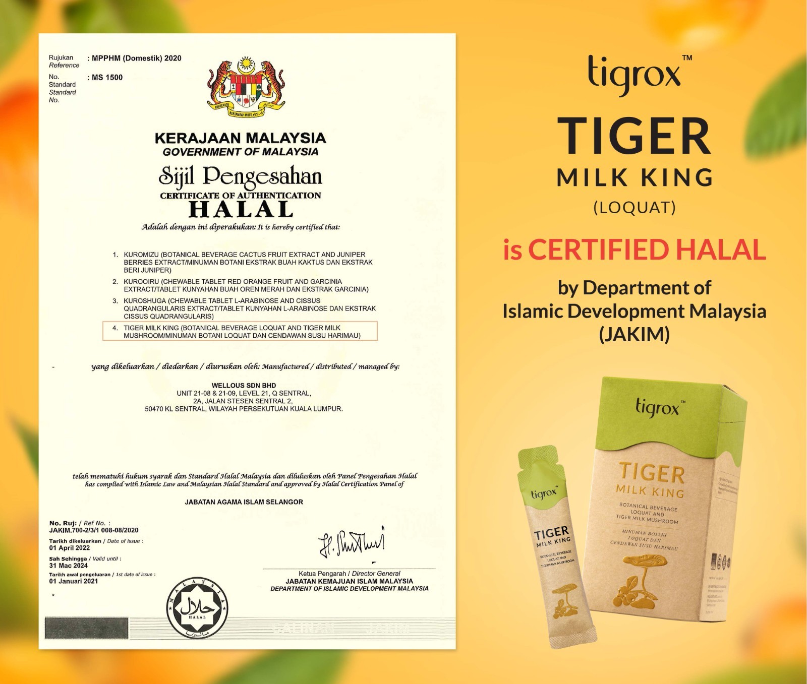 1-4x Tigrox Tiger Milk King Mushroom (Loquat) Nourish Lungs Cough Respiratory