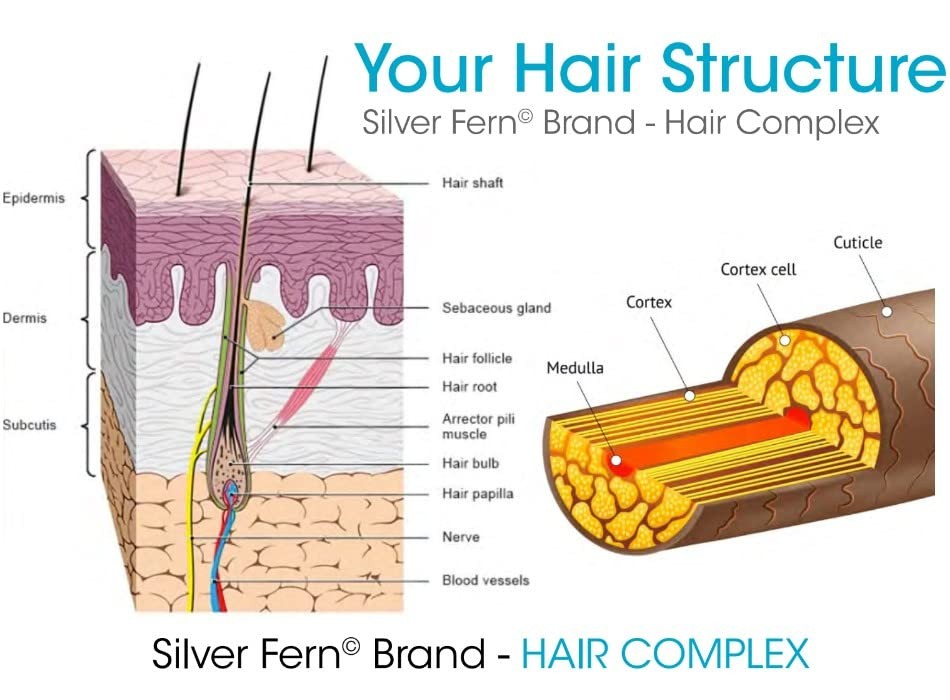 Hair Complex Supplement – 30 Day Supply Keratin