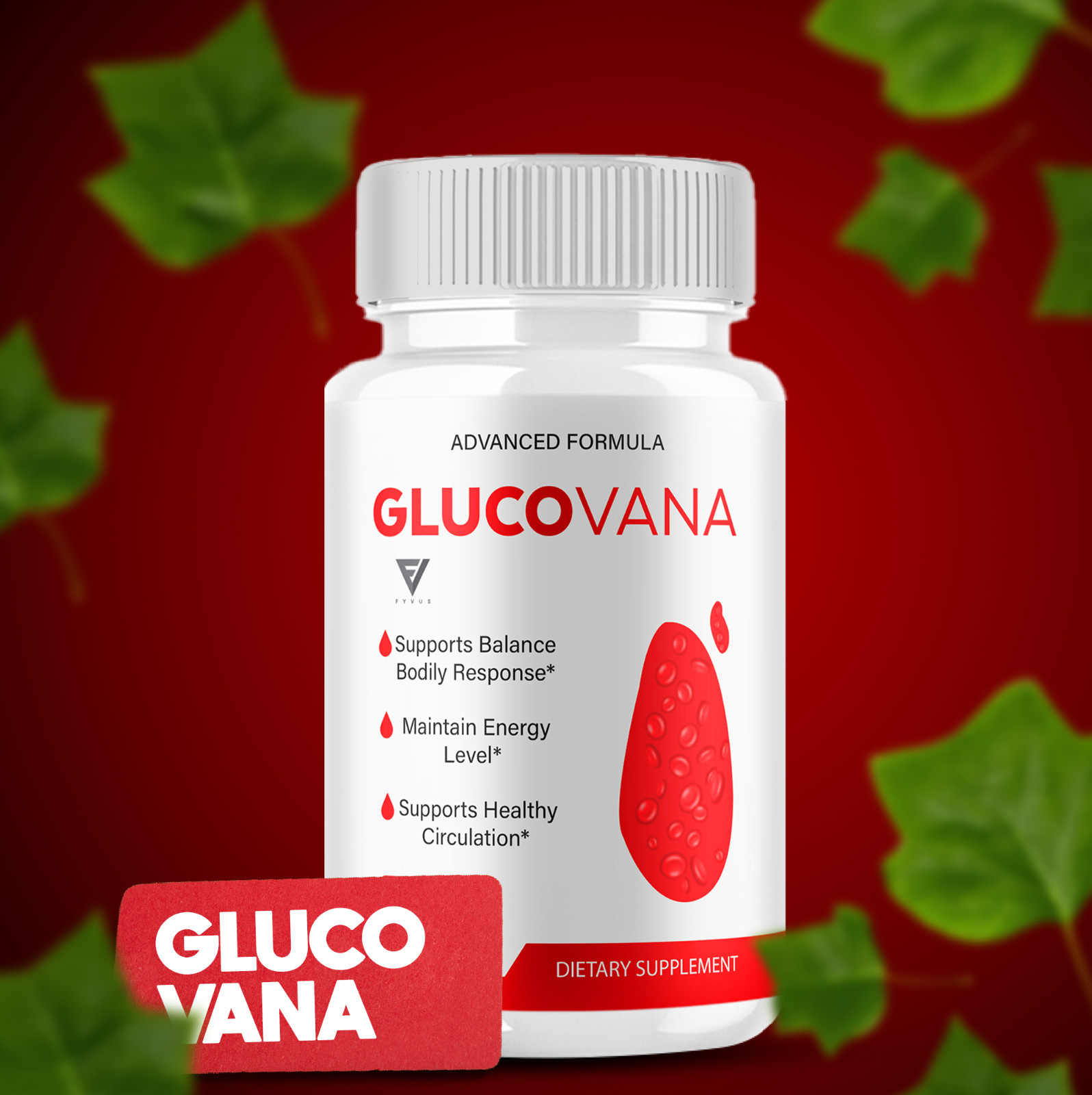 (2 Pack) Glucovana Pills, Glucovana Advanced Blood Health Formula (120 Capsules)