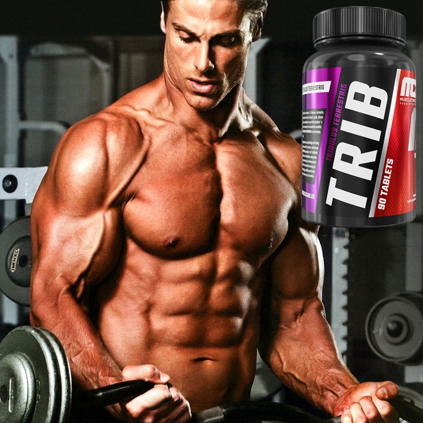 TRIB - 90 Tablets – 1000 mg – Tribulus Terrestris – Testo, Libido, Muscle Growth
