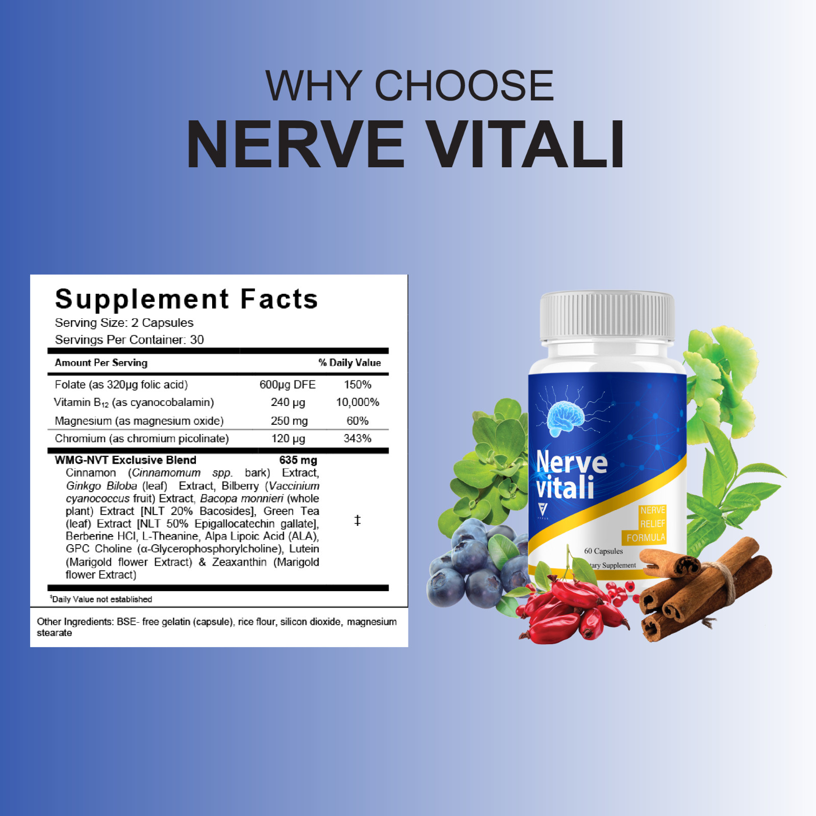 (3 Pack) NerveVitali Wellness Support, Nerve Vitali Nerve Pills (180 Capsules)
