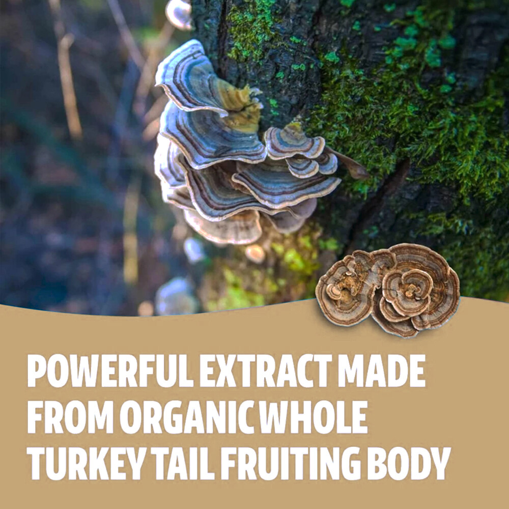 Turkey Tail Mushroom Capsules 500mg, Organic Dual Extract, Digestive Health