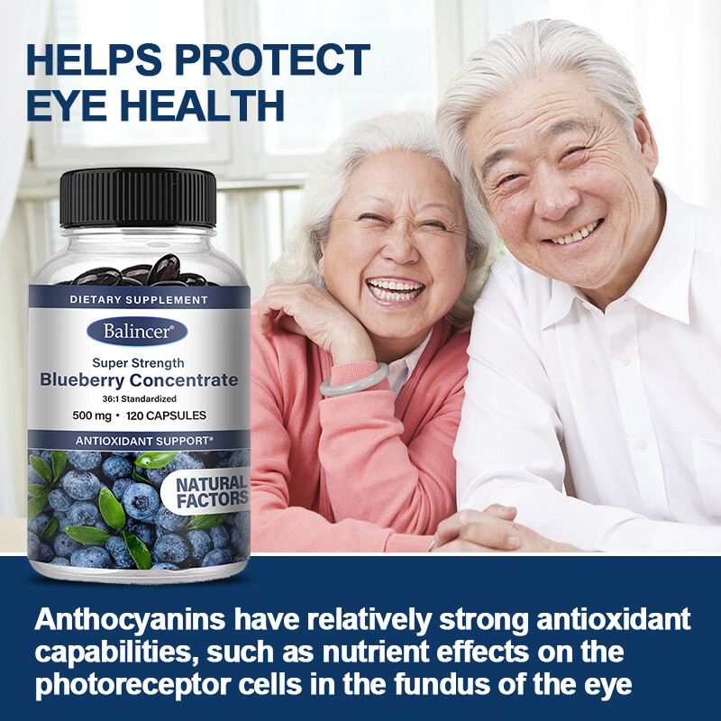 Blueberry Concentrate 500 Mg Capsules ANTIOXIDANT SUPPORT,PROMOTES EYE HEALTH