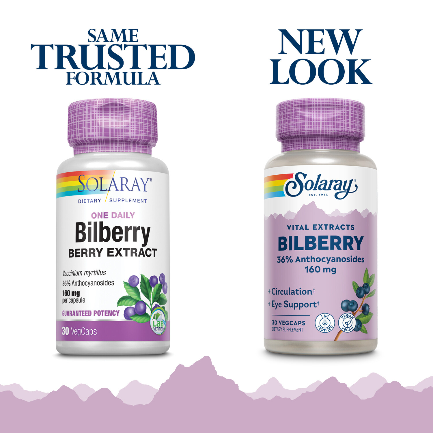 Solaray Bilberry Berry Extract 160 mg with Blueberry Extract | 30 VegCaps