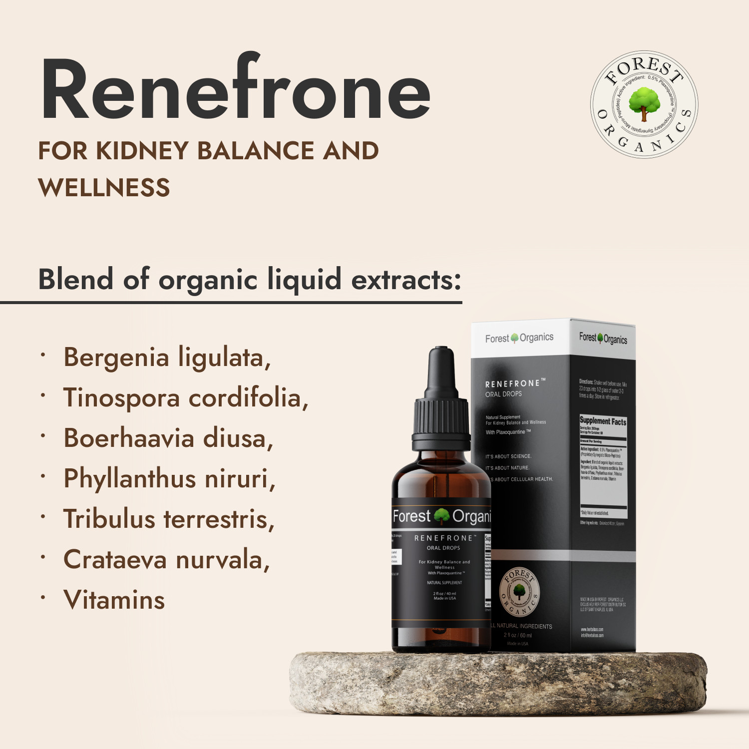Kidney Support and Urinary Tract Support with 7 Plant Extracts Optimal Kidney