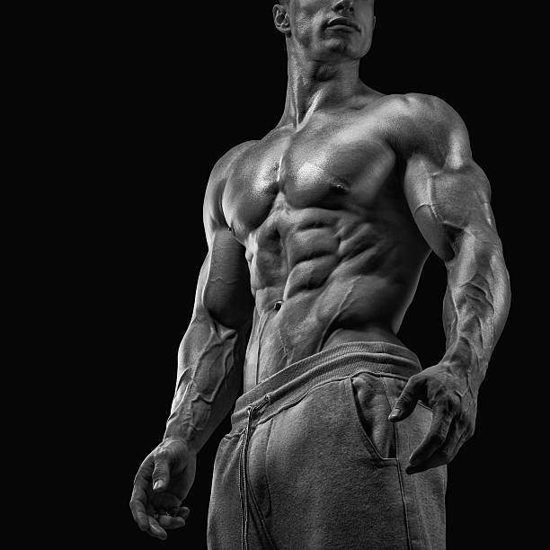 nitric oxide supplement – NITRIC OXIDE 2400 – muscle gainer – 2 Bottles