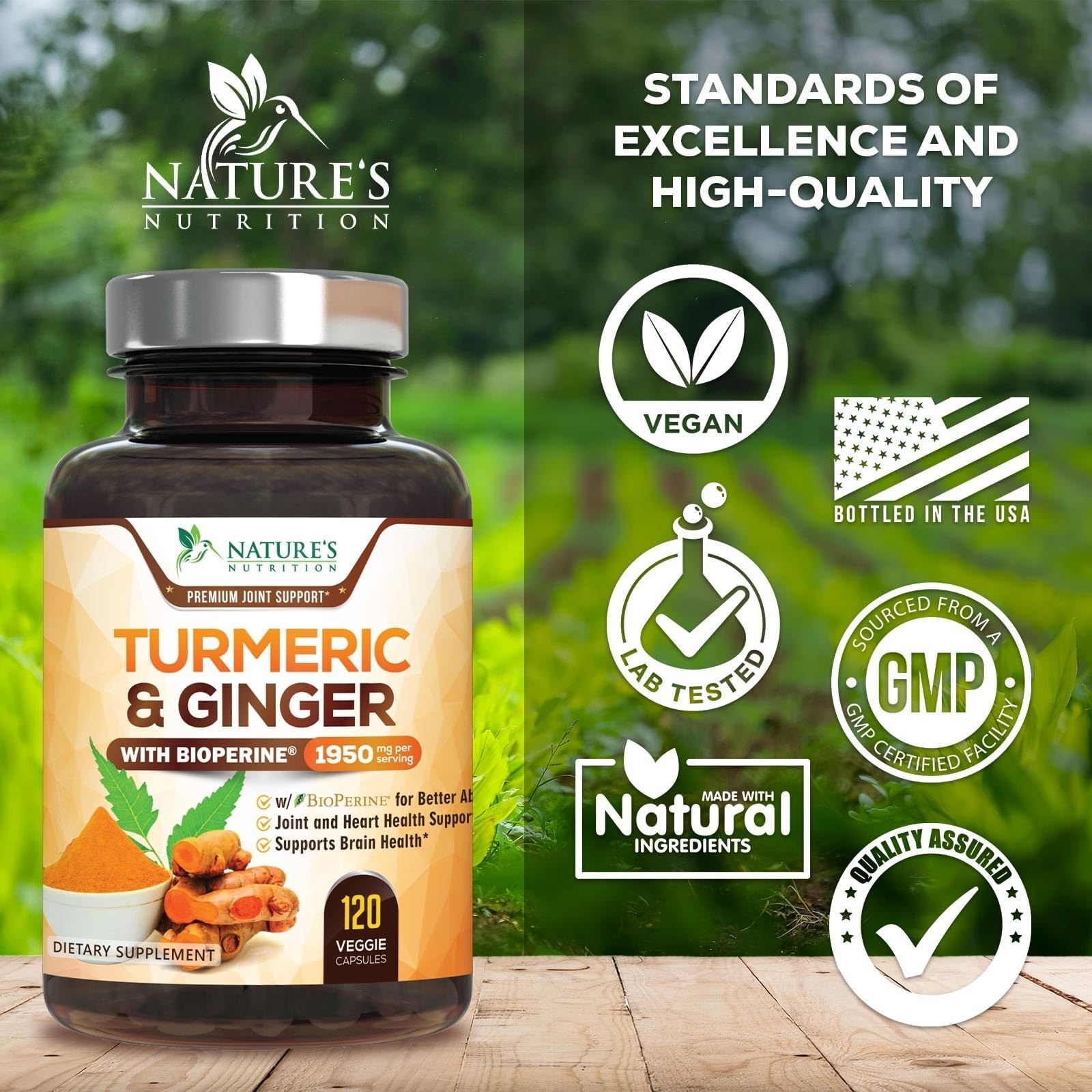 Turmeric Curcumin Supplement – 95% Curcuminoids – 120 Capsules