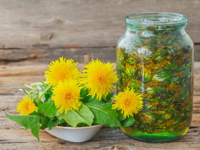 antioxidant blend – DANDELION ROOT 520MG – dandelion leaf extract 1B